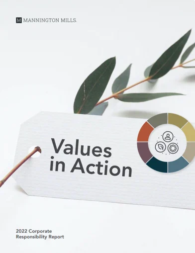 Introducing Values in Action: Our look to the future